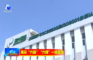 新聞采訪｜疫情下，軍興溢美如何在危機中求發展？